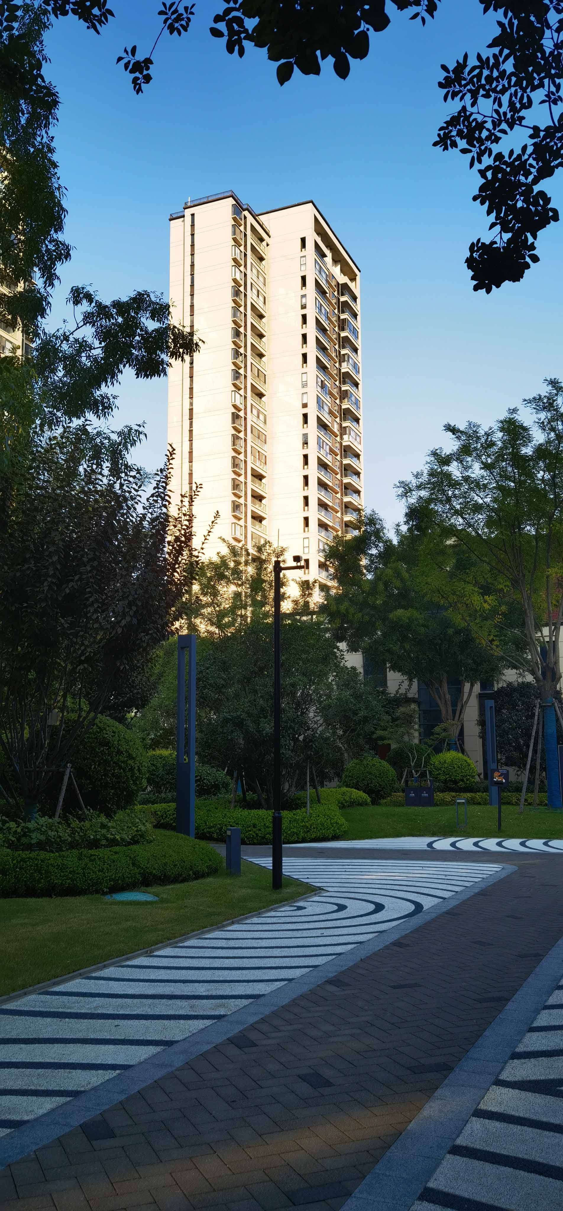 滚球买球的app官网