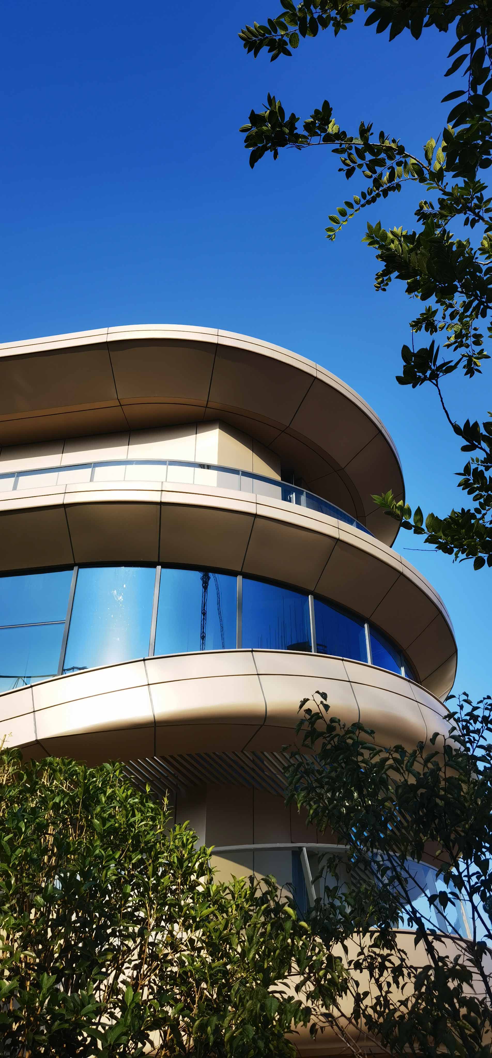 滚球买球的app官网