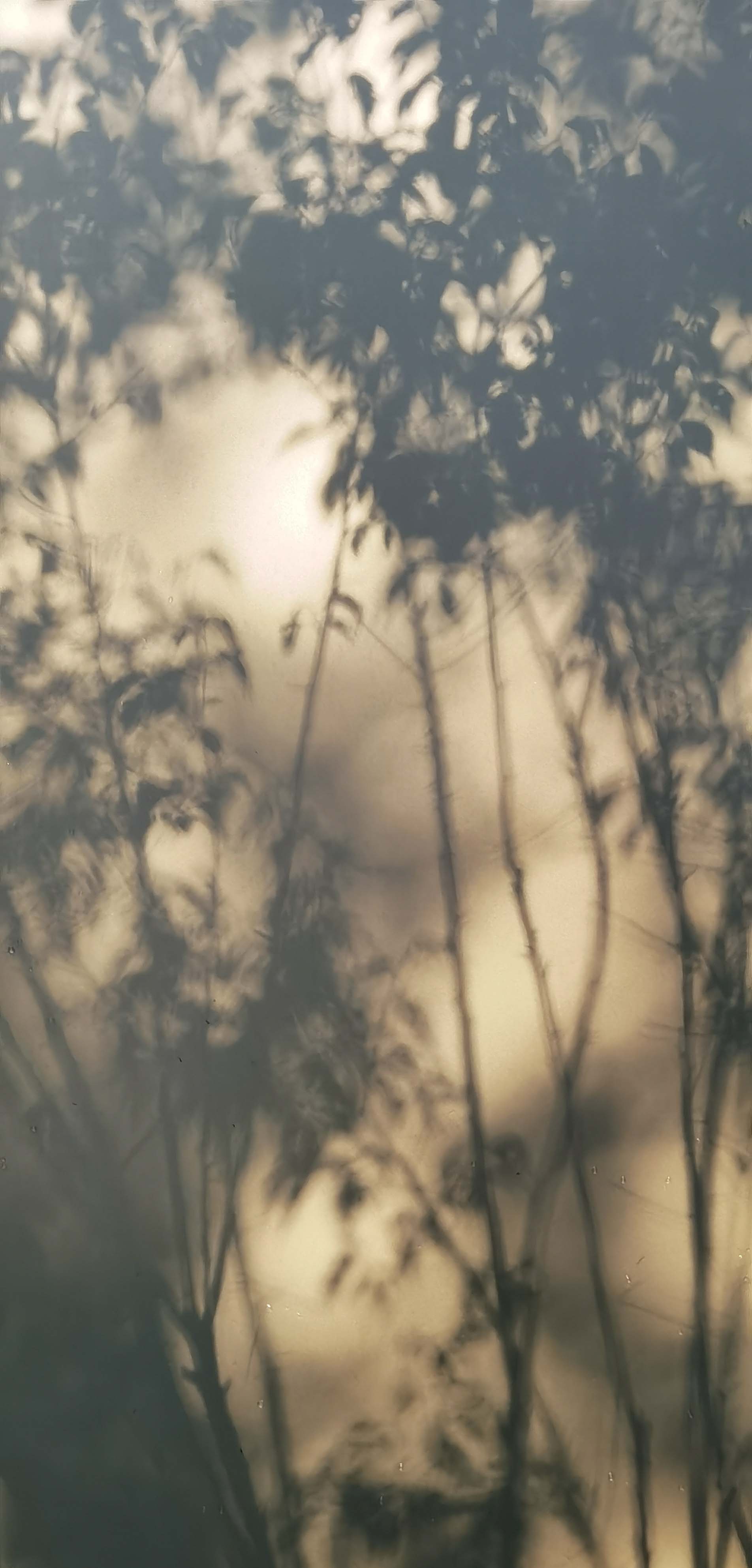 滚球买球的app官网