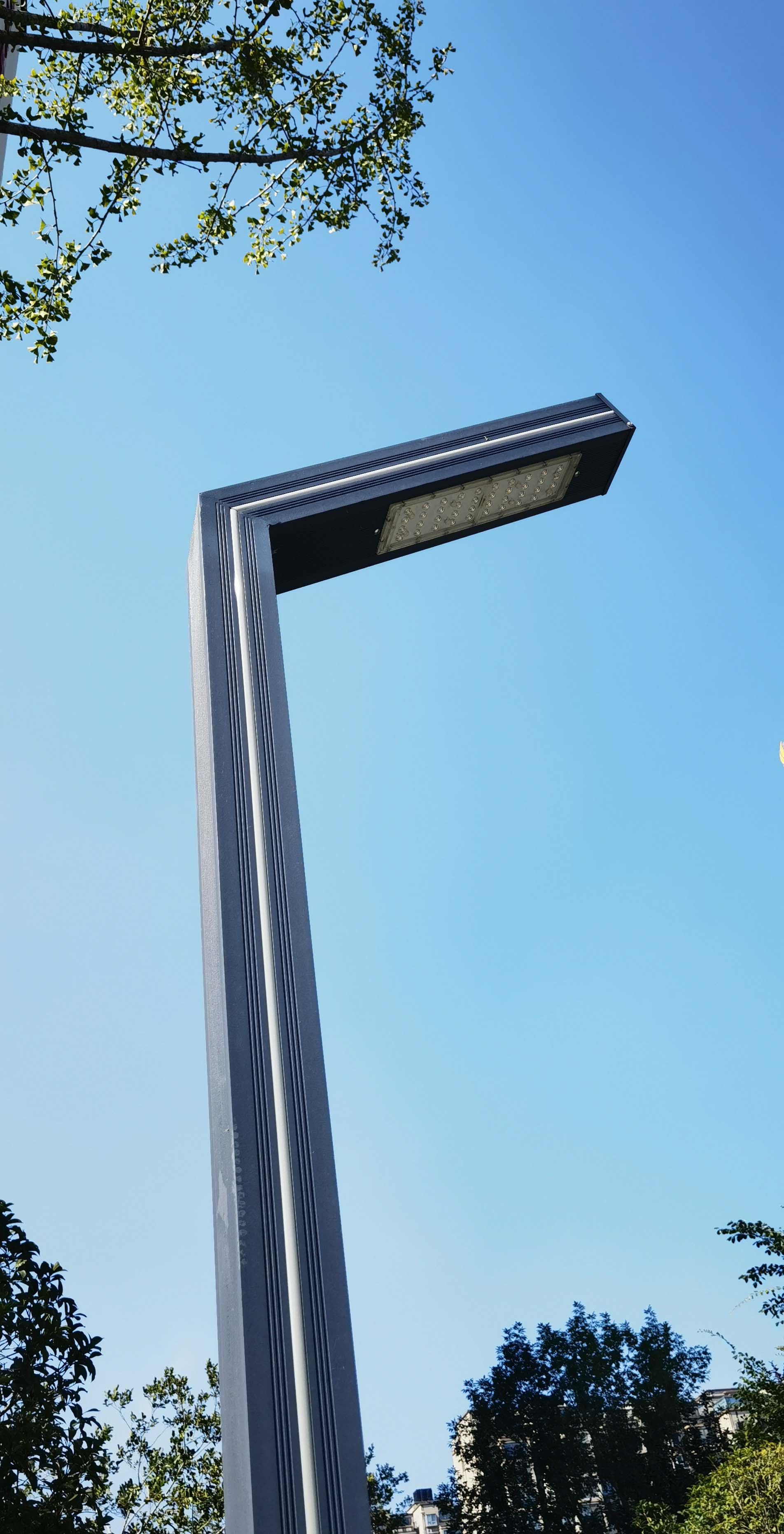 滚球买球的app官网