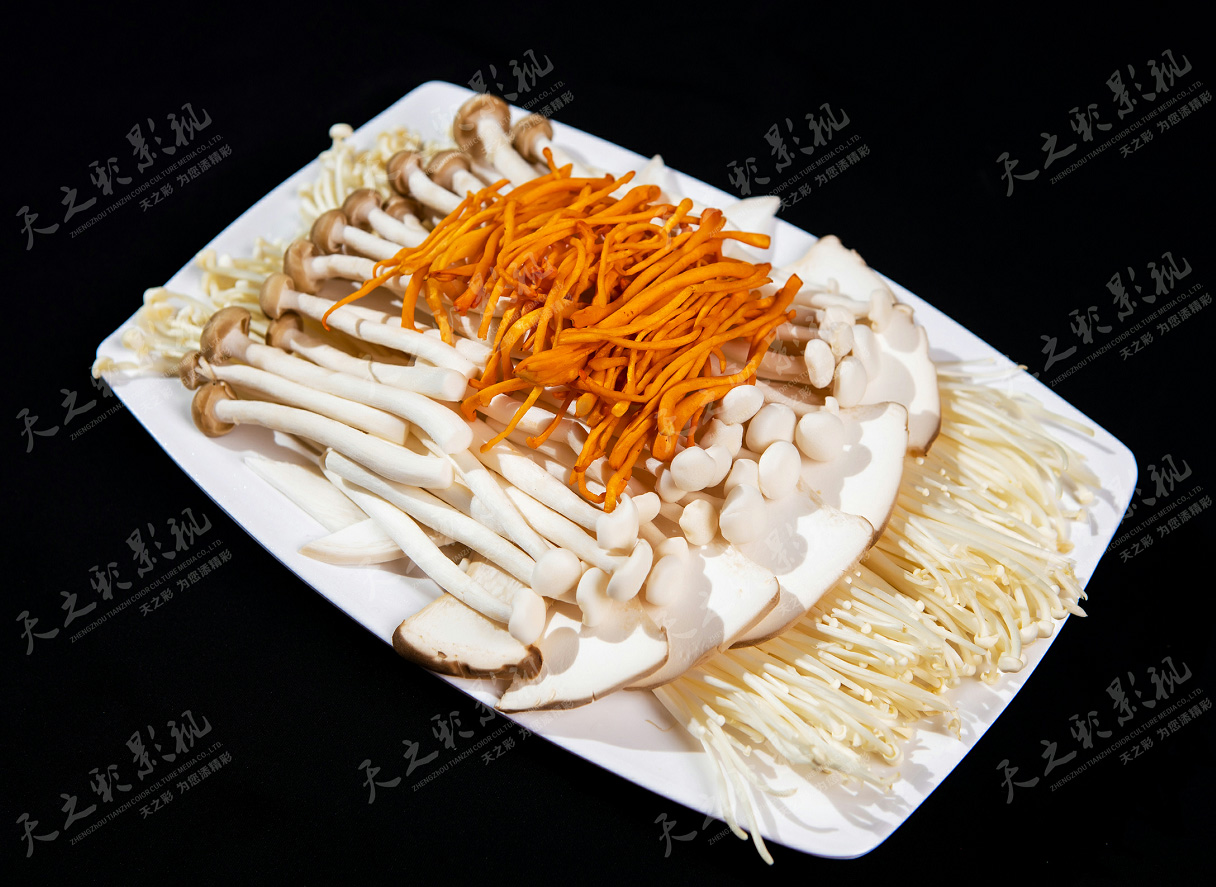 滚球买球的app官网