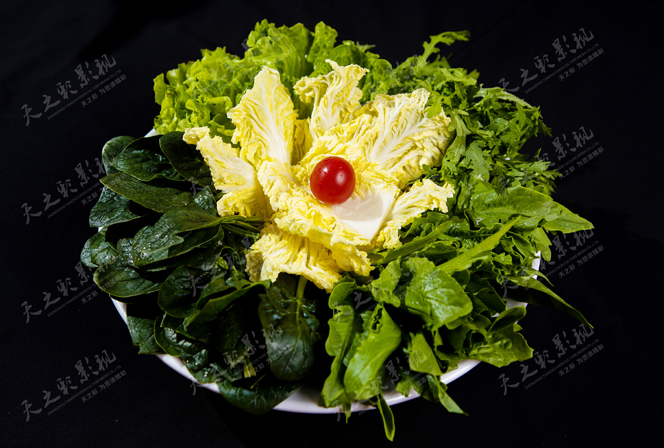 滚球买球的app官网