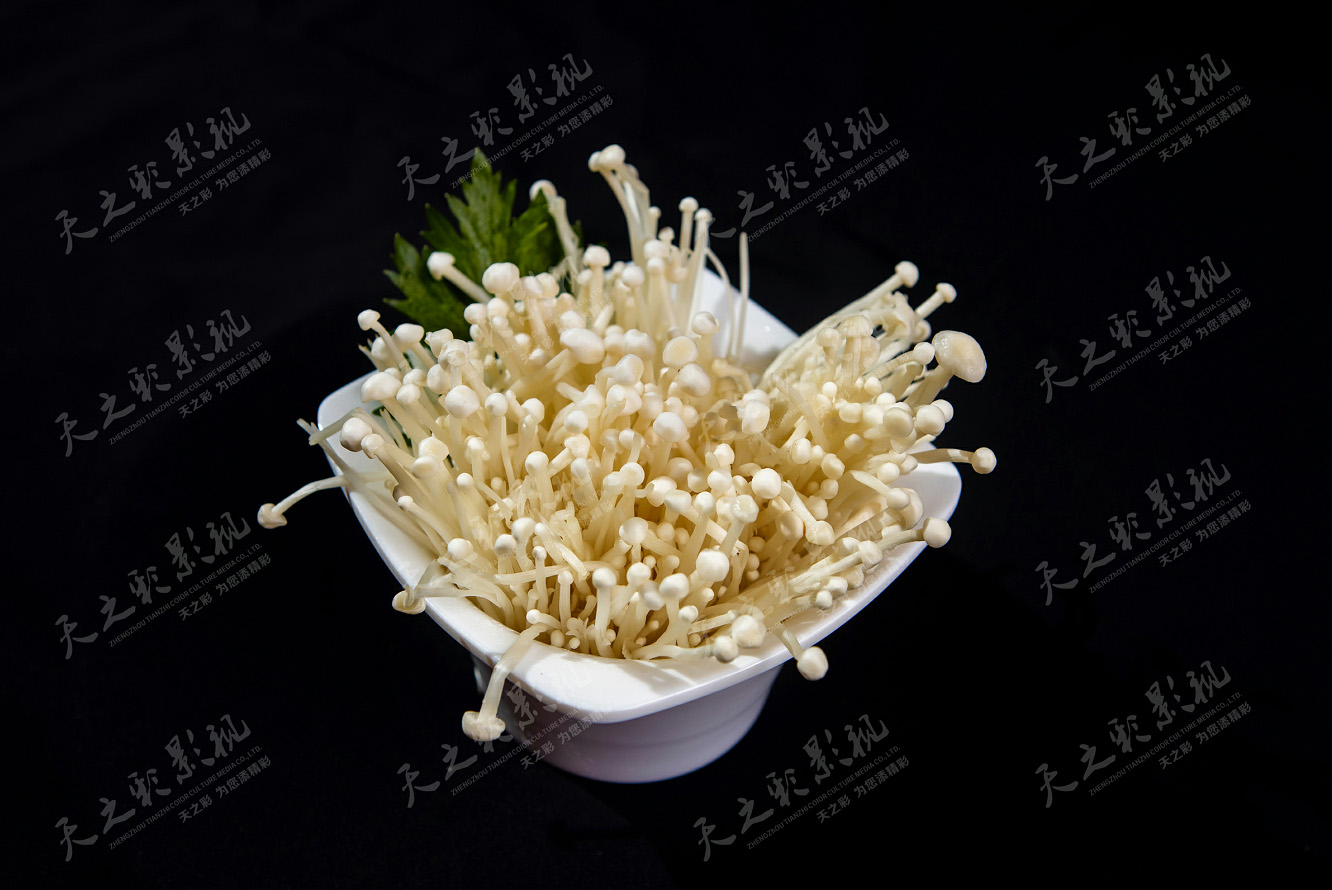 滚球买球的app官网