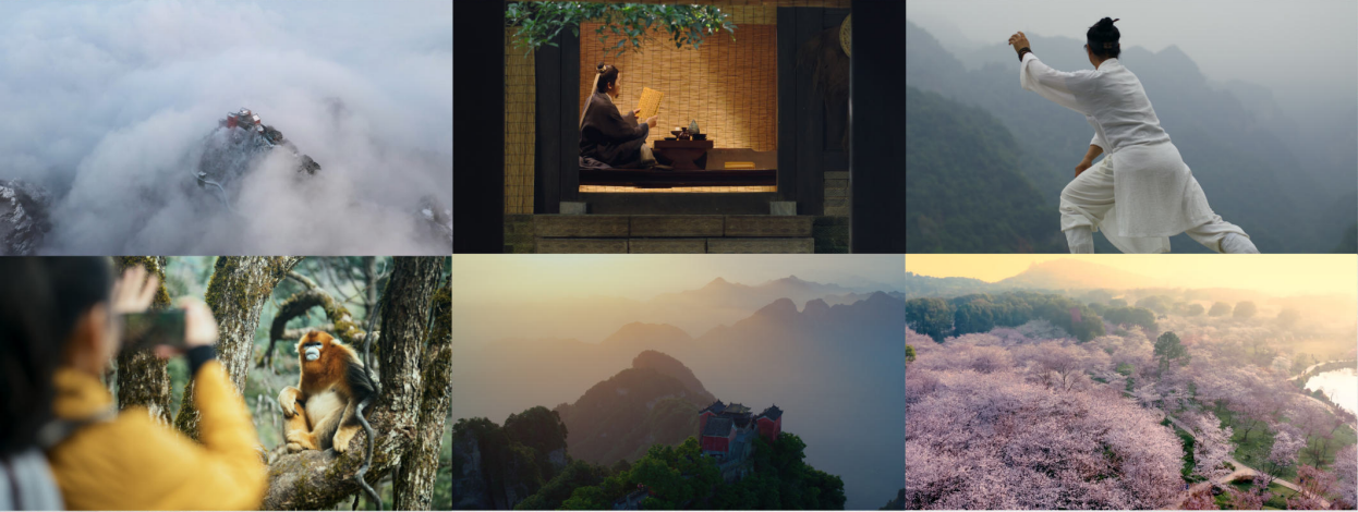 滚球买球的app官网