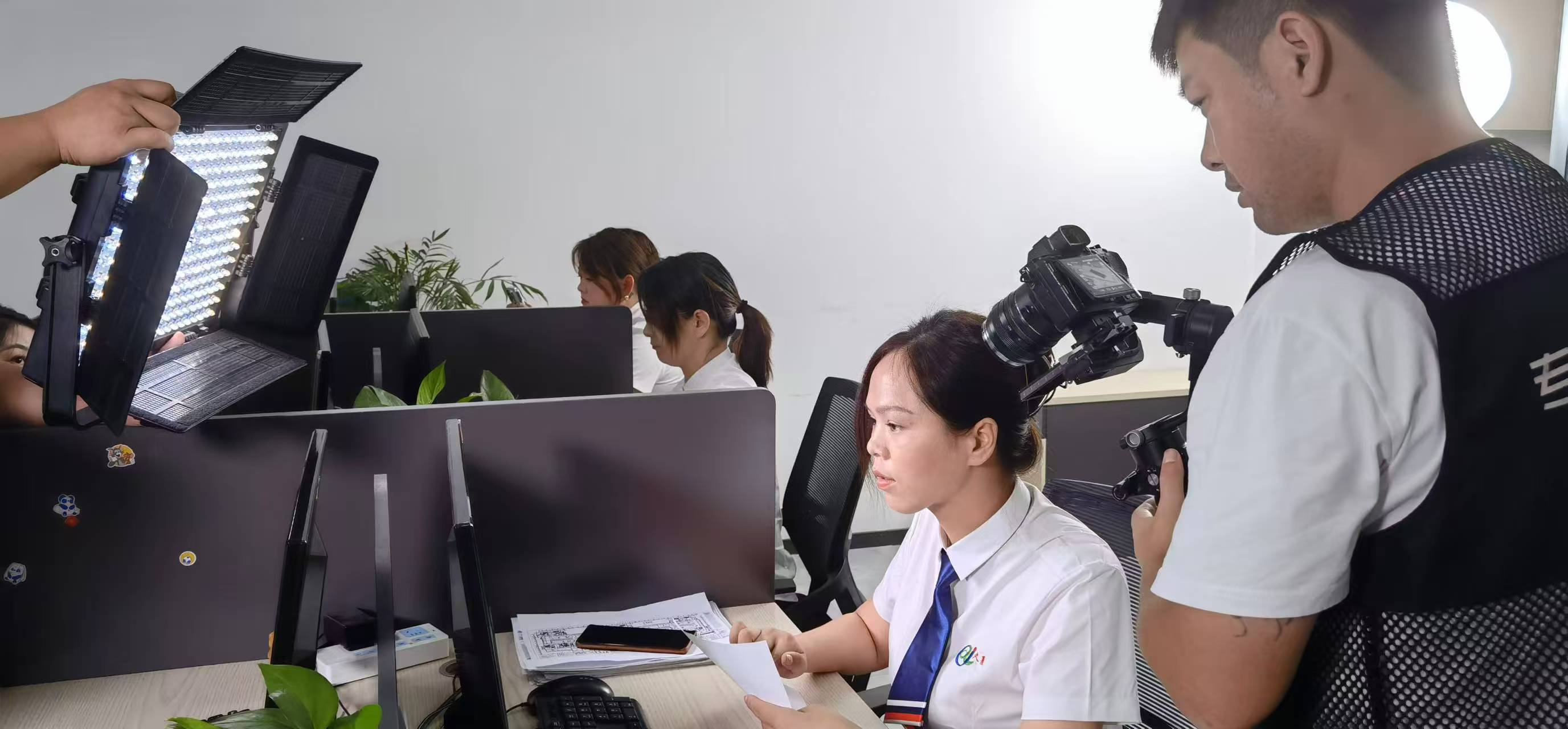 滚球买球的app官网