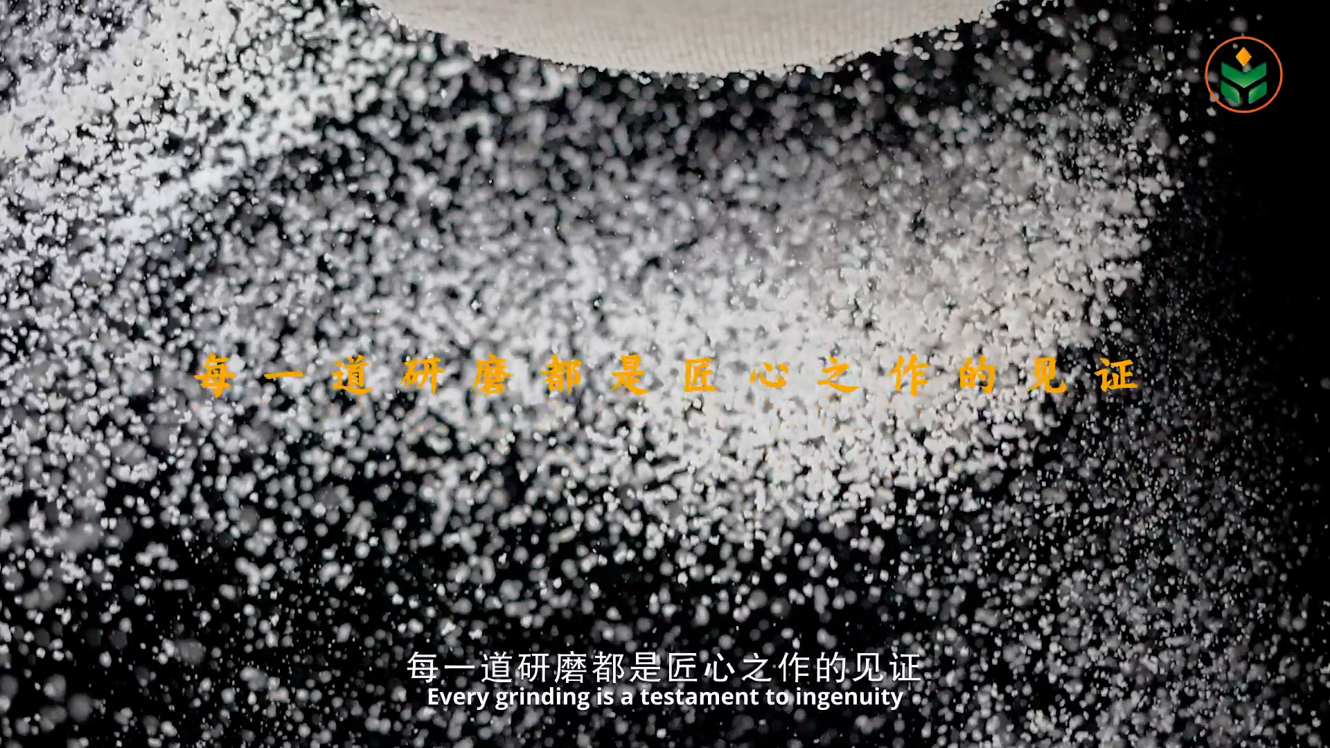 滚球买球的app官网