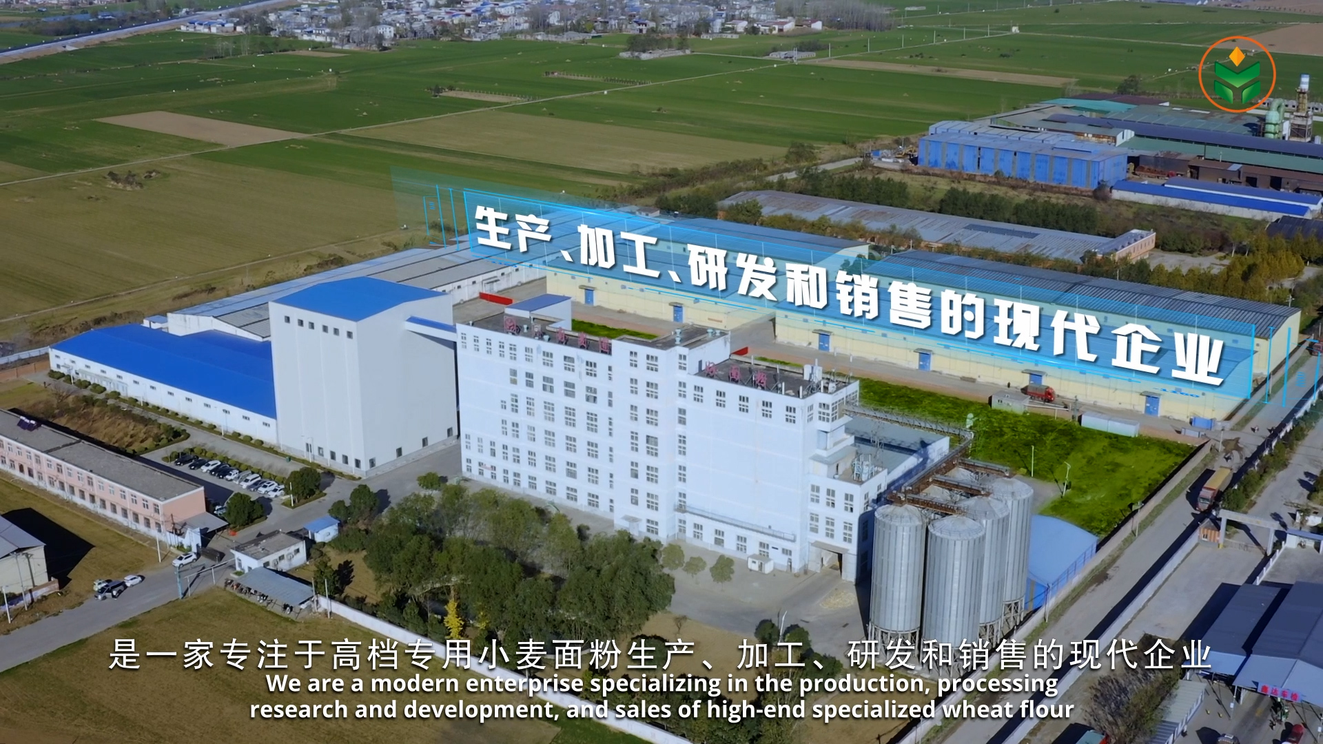 滚球买球的app官网