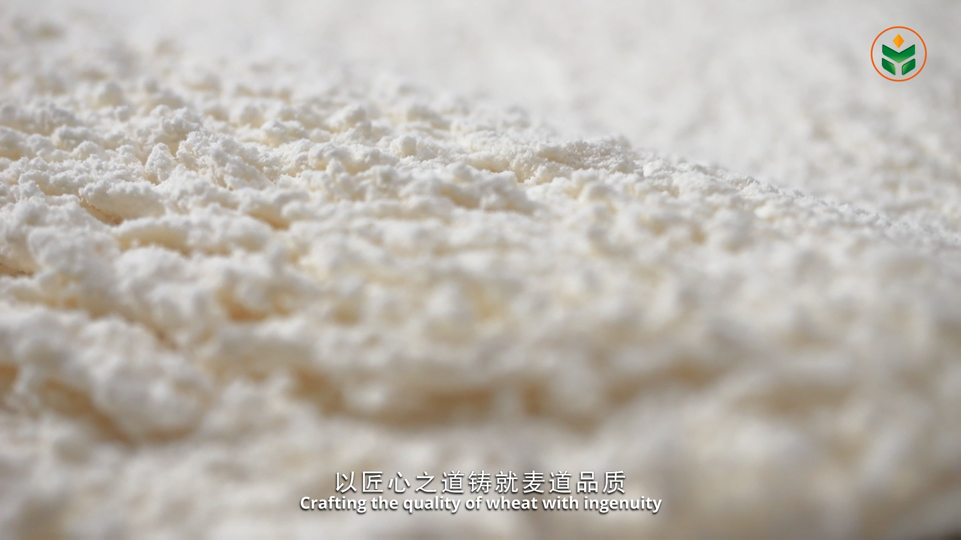 滚球买球的app官网