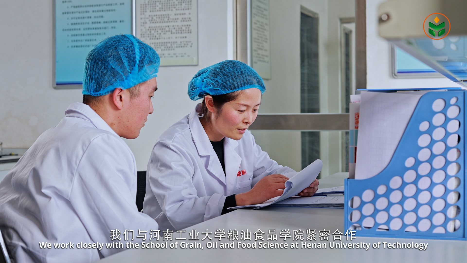 滚球买球的app官网