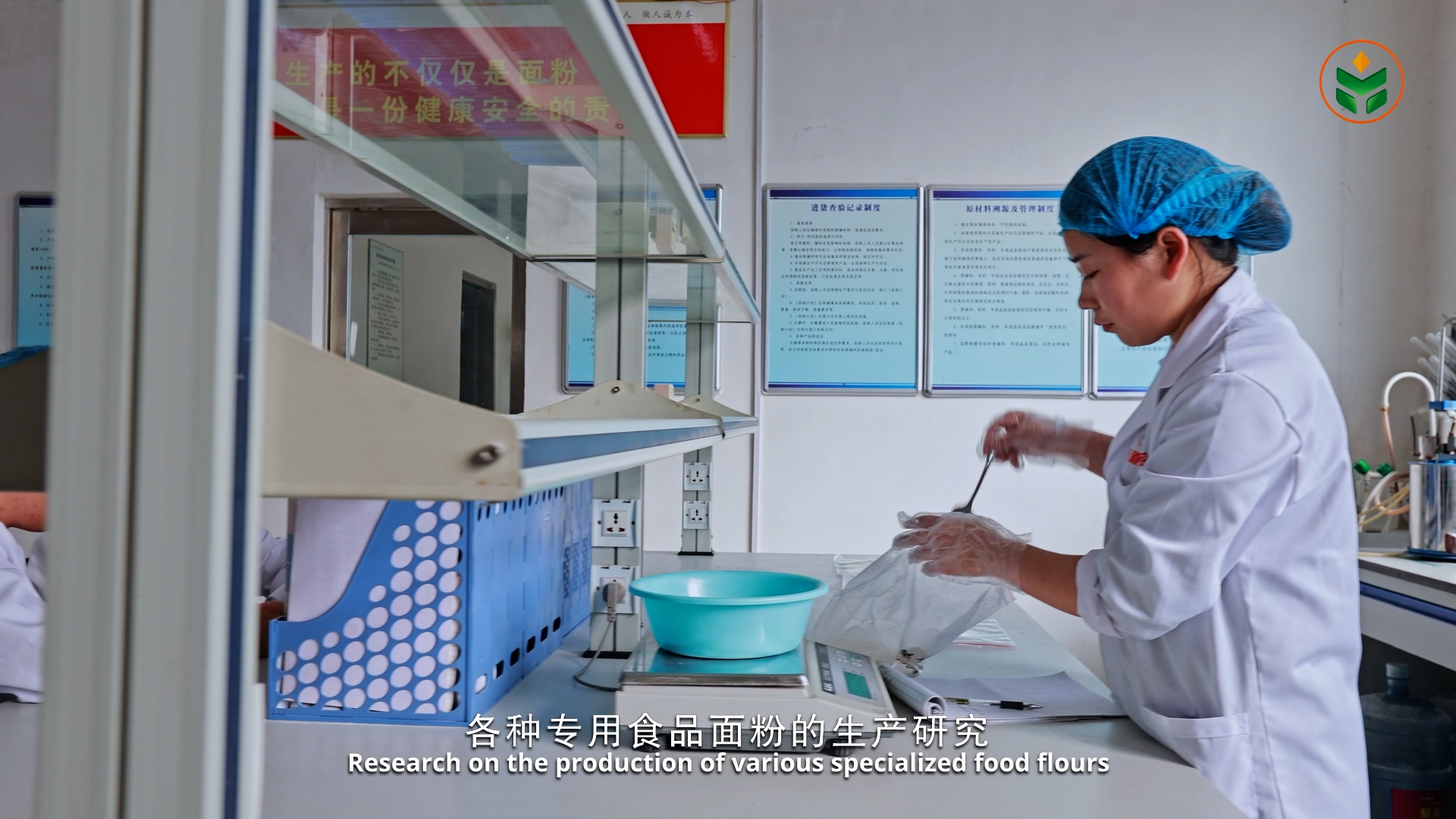 滚球买球的app官网