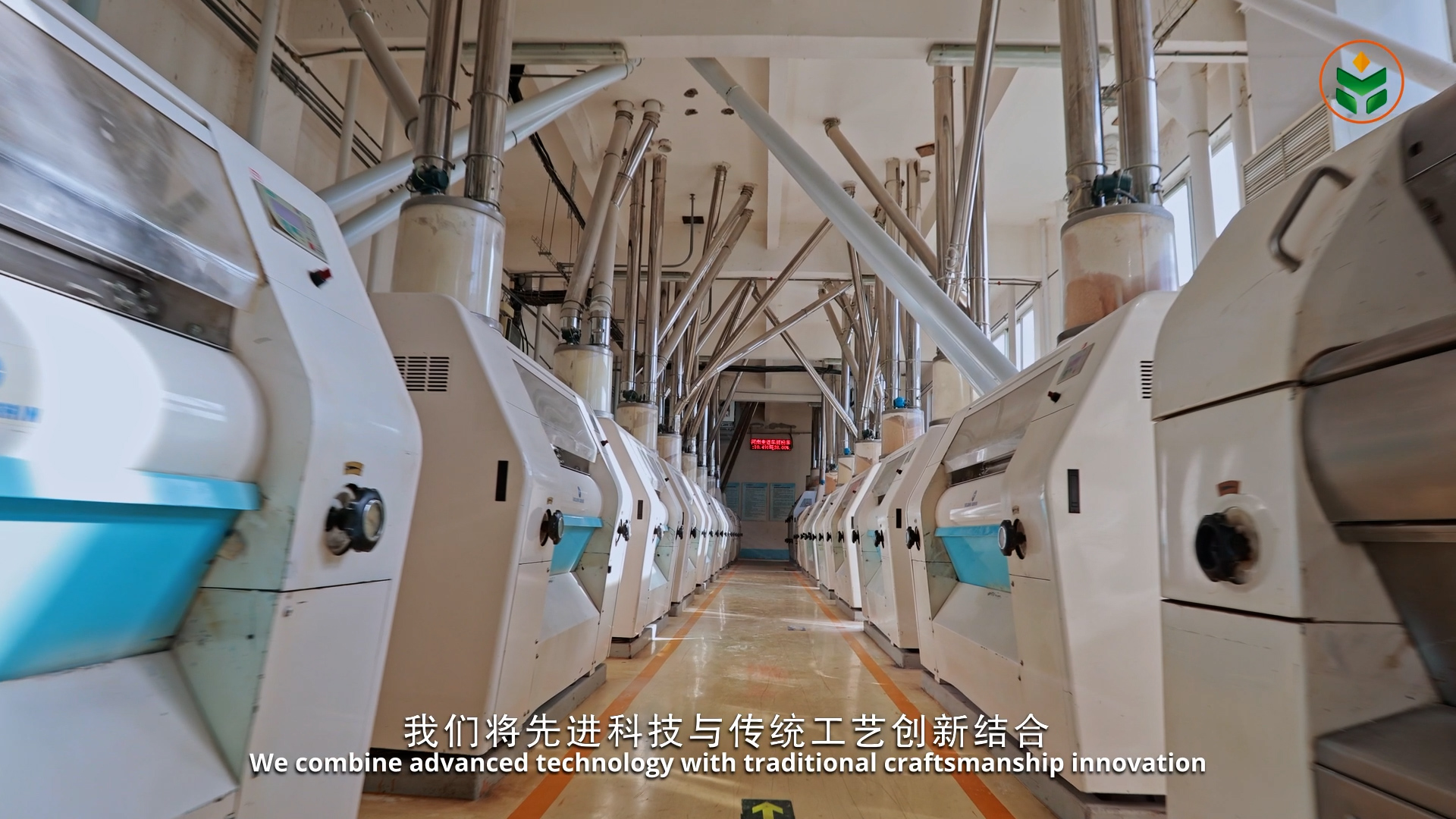 滚球买球的app官网