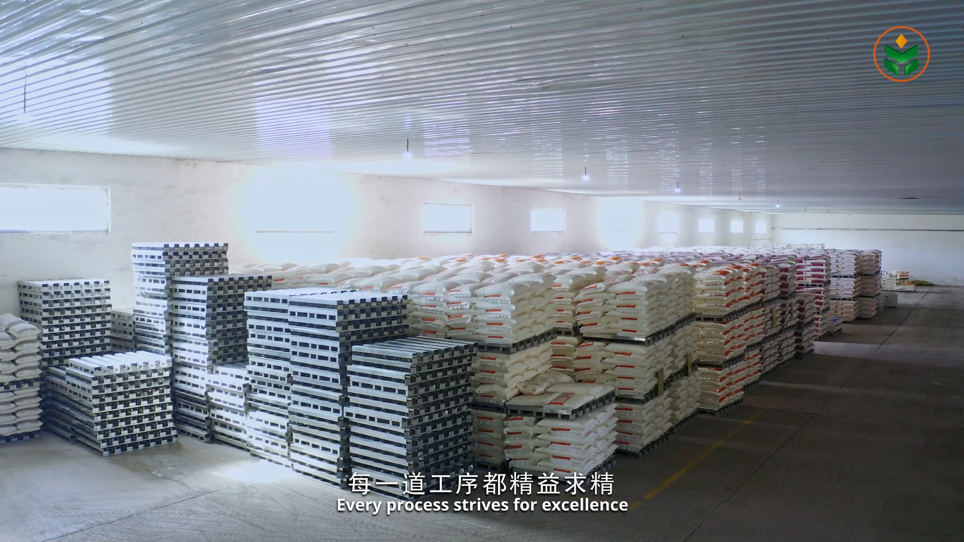 滚球买球的app官网