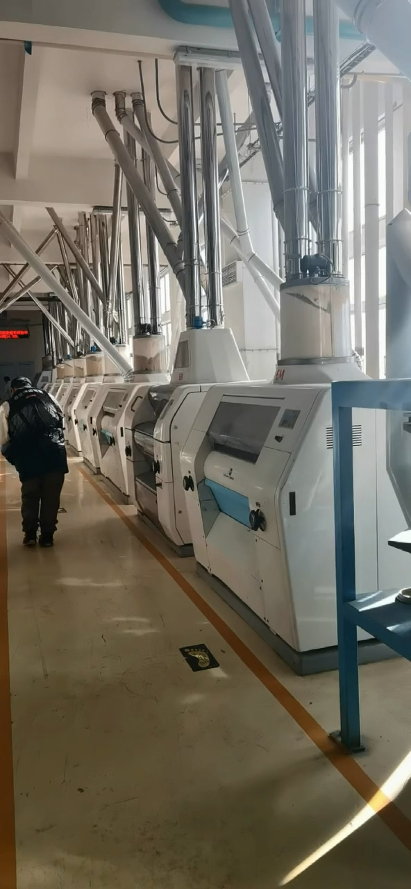 滚球买球的app官网