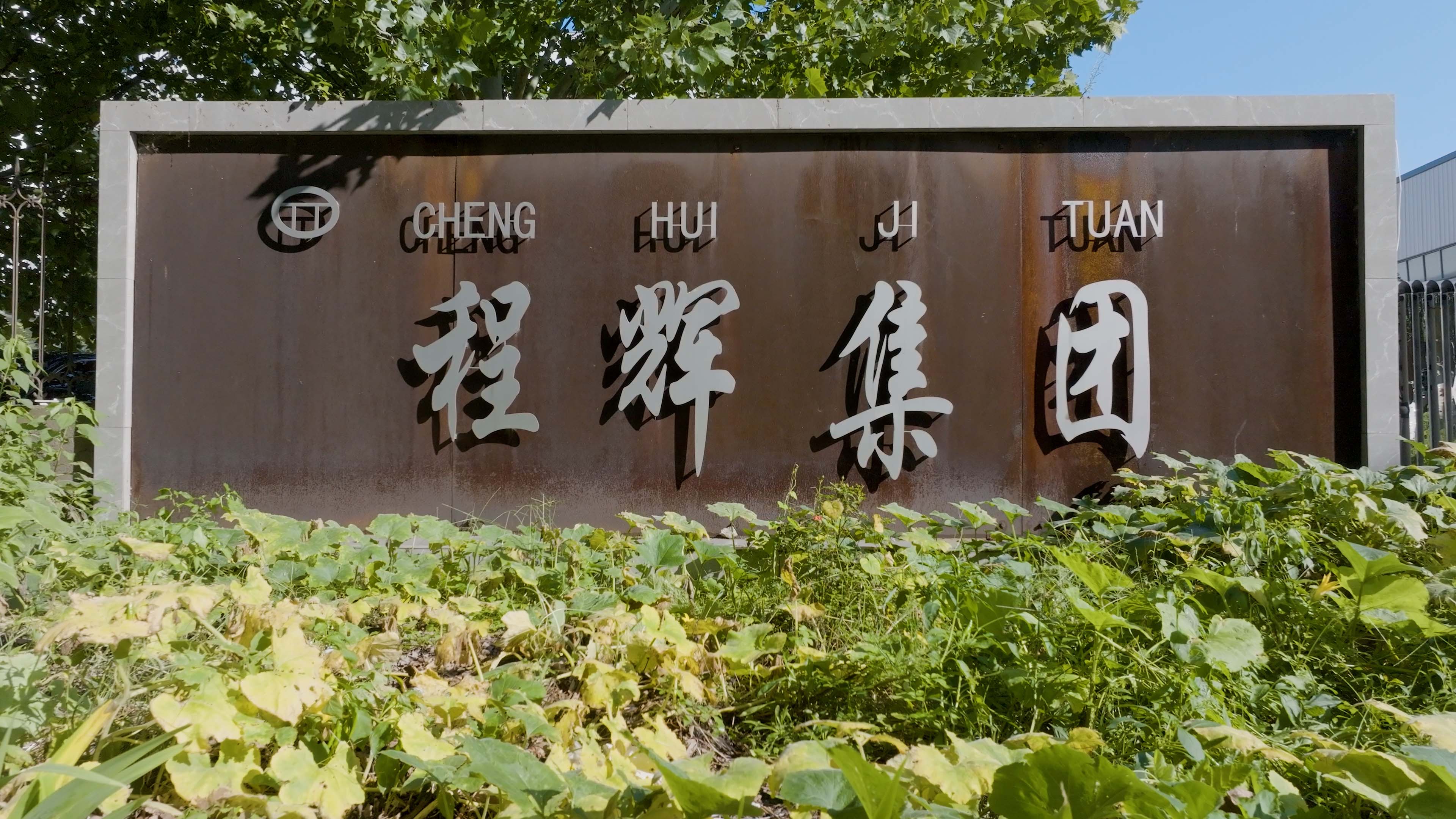 滚球买球的app官网