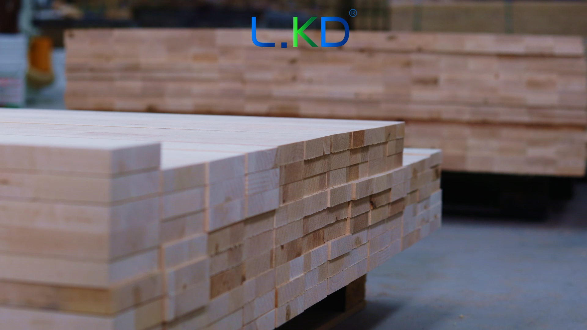 滚球买球的app官网