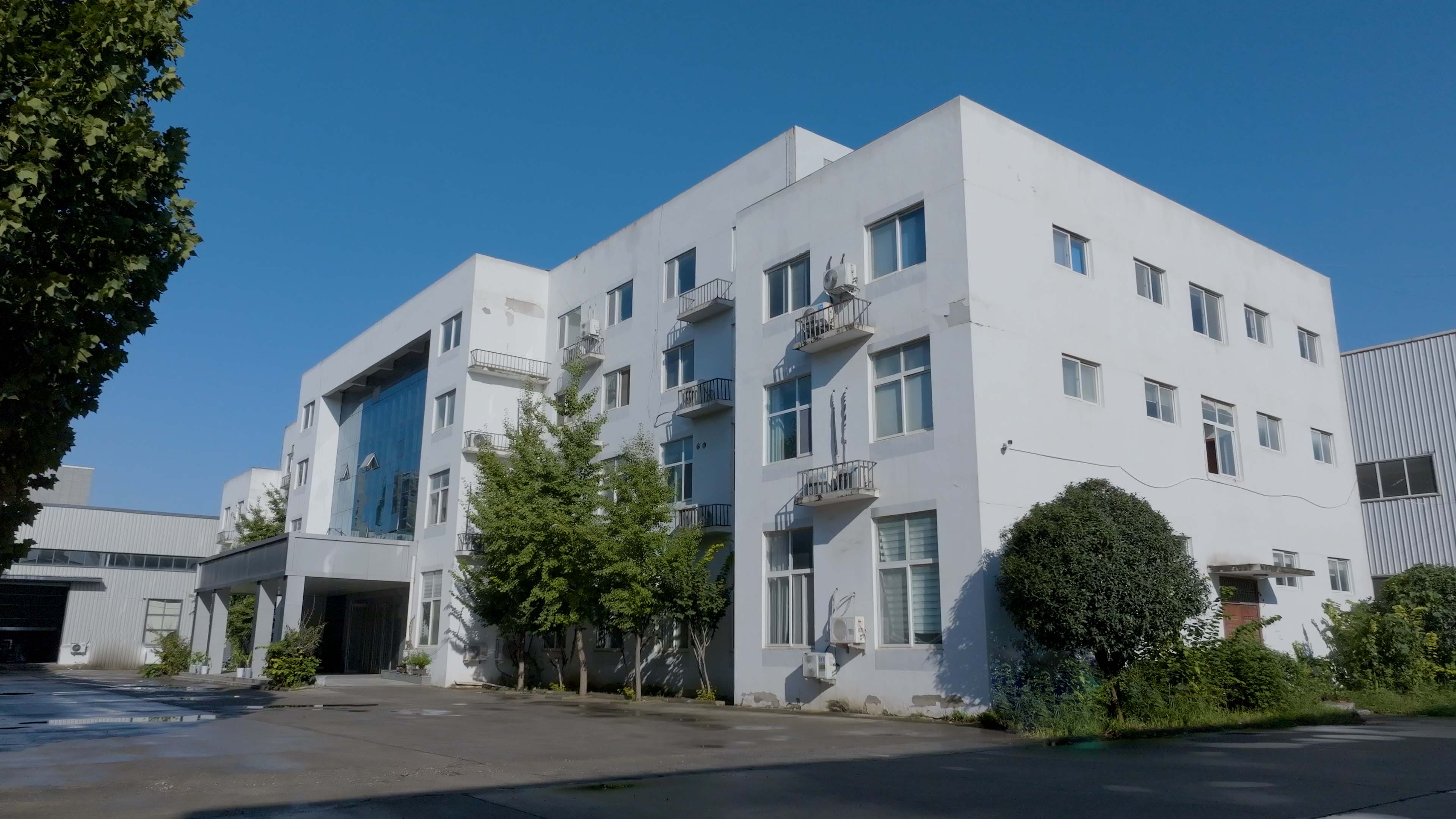 程辉集团宣传片拍摄完成